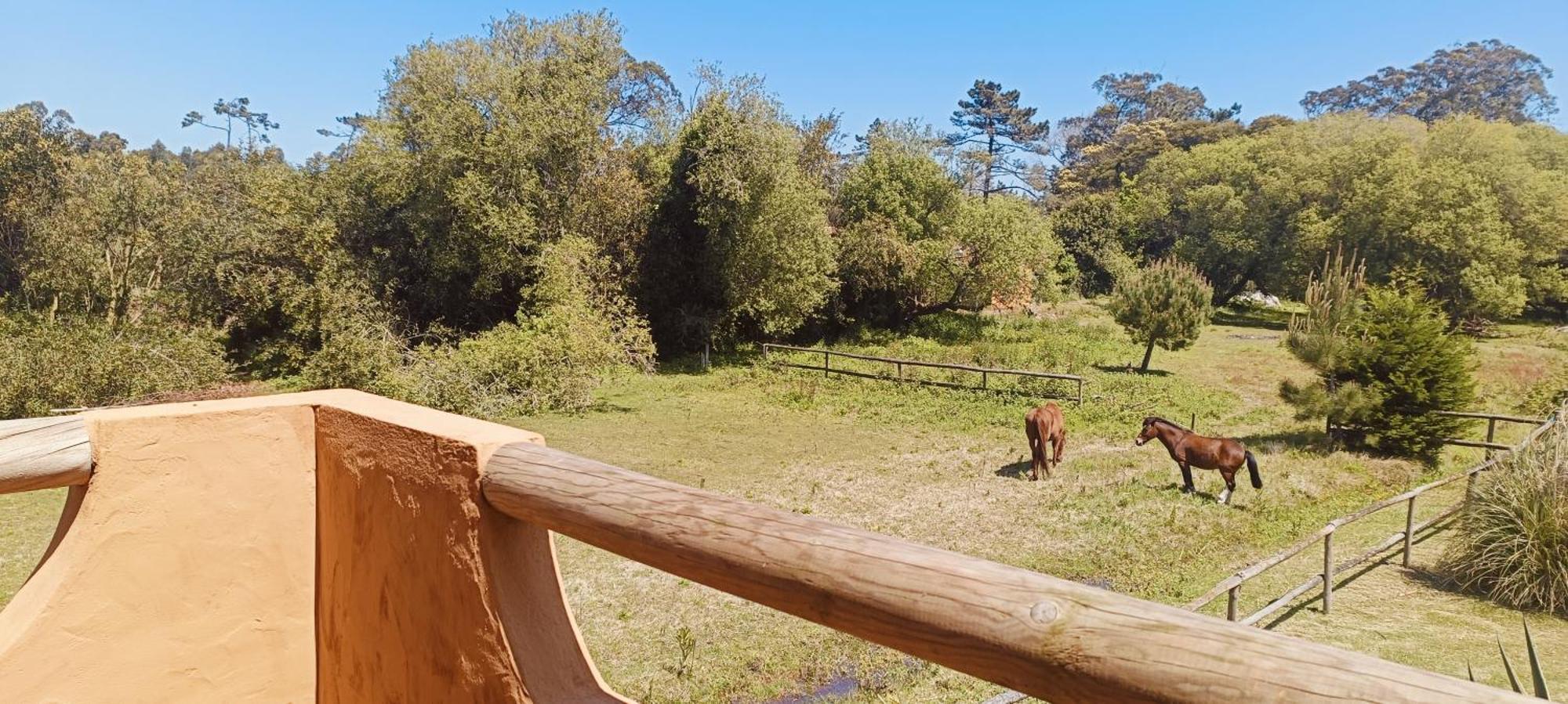 Casas Da Barra Villa Praia de Mira Bilik gambar